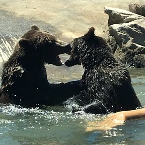 Meet your Posher, Andy